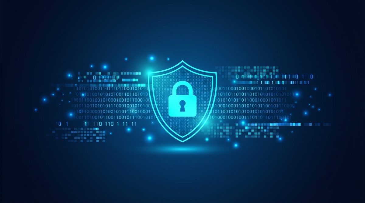 海鱼加速器隐私安全保护